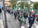 Sfilata Alpini a Susà 27.4.2014