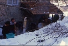 Carnevale1985_26
