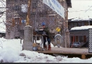 Carnevale1986_12