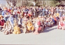 Carnevale1998eSfilata a Pergine_47