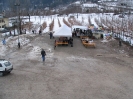 Carnevale 2006