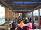 Carnevale2010_55