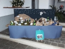 Presepe 2012_3