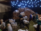 Presepe 2012_7