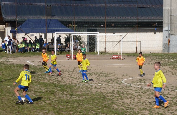 Sagra2014-Ischia-Fersina-Torneo Primi Calci-6-9-2014_7